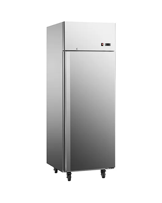 Stainless Steel Single Door Freezer